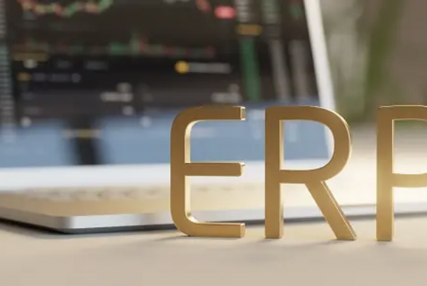 Tu Empresa con un ERP